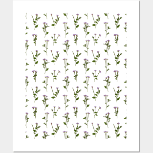 PRESSED FLOWERS - Chickweed Willowherb Posters and Art